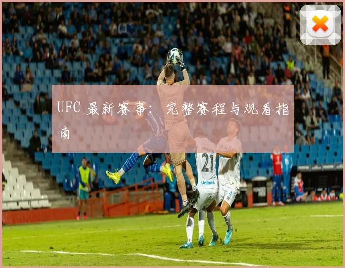 UFC 最新赛事：完整赛程与观看指南