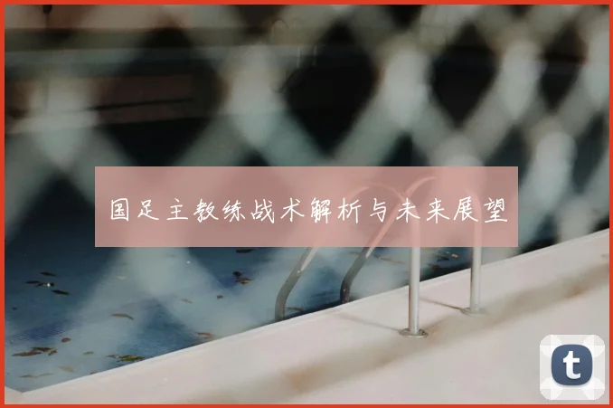国足主教练战术解析与未来展望