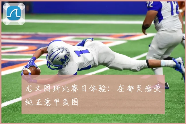 尤文图斯比赛日体验：在都灵感受纯正意甲氛围